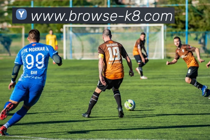 凯发娱乐平台生态图