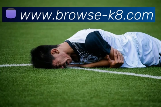 凯发娱乐APP 封面图