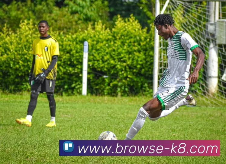 数据防护可视化